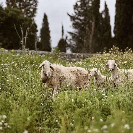 Alkis Farm And