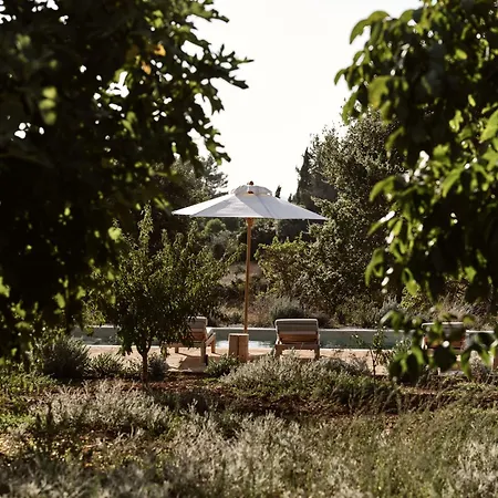Alkis Farm And Holiday home *