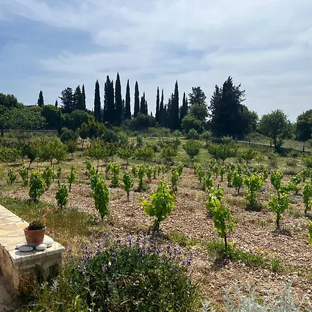 Alkis Farm And * Gyri