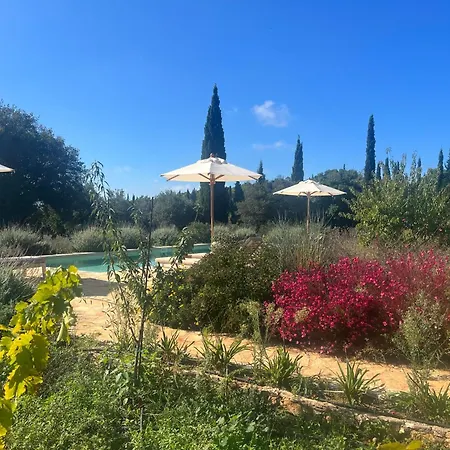 Casa vacanze Alkis Farm And