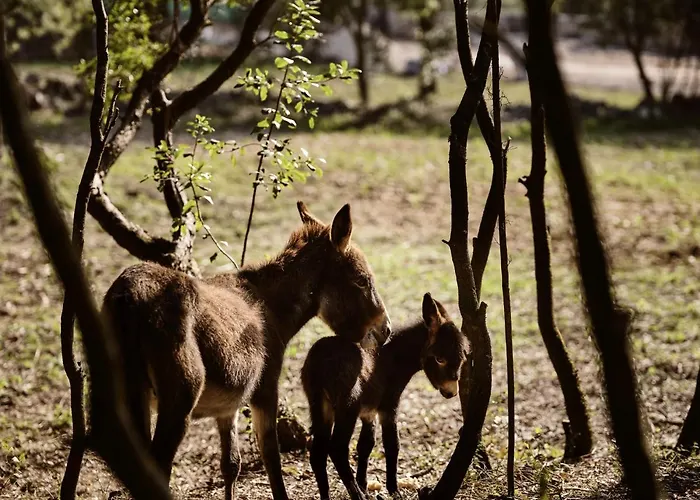 度假居 Alkis Farm And Yírion