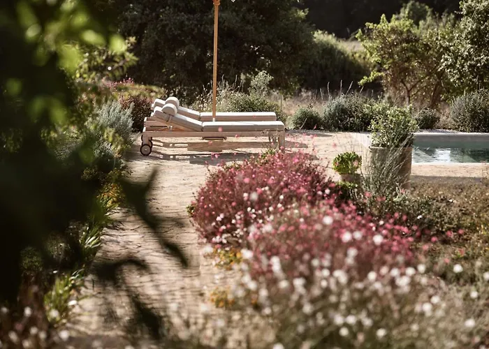 Alkis Farm And * Yírion