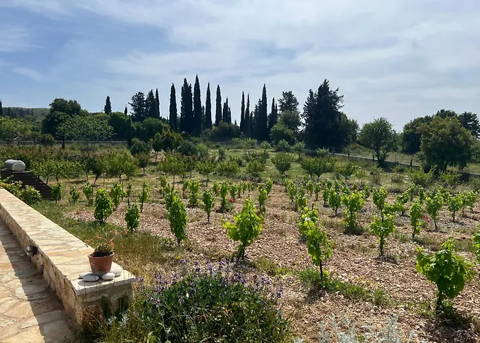 Alkis Farm And * Yírion