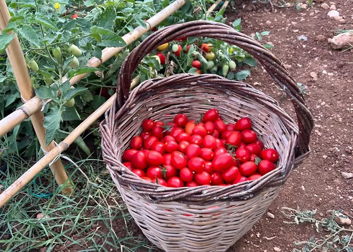 Alkis Farm And 度假居 *