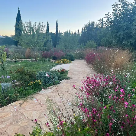 Holiday home Alkis Farm And *